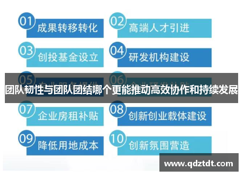 团队韧性与团队团结哪个更能推动高效协作和持续发展